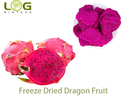 Freeze Dried Dragon Fruit