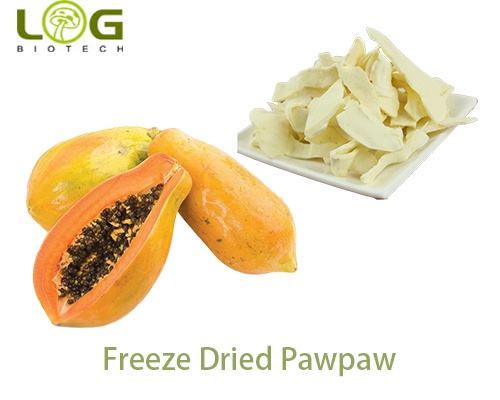 Freeze Dried Pawpaw