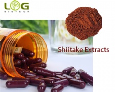 Organic Shiitake Extract Powder