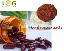 Good for Diabetes Cordycep Extract