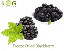 Low Fat FD Blackberry