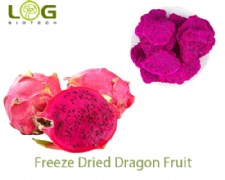 Freeze Dried Dragon Fruit