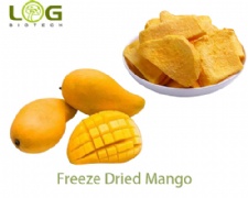 Freeze Dried Mango