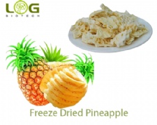 Freeze Dried Pineapple