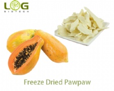 Freeze Dried Pawpaw