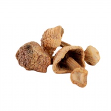 Dried Agaricus Blazei