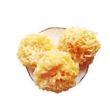 High Quality Dried Tremella