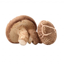 Organic Fresh Shiitake