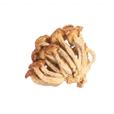 Top Grade Dried Nameko